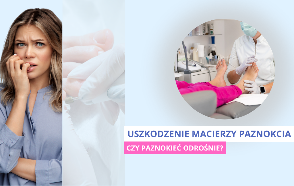 Otopodolog | Strona główna